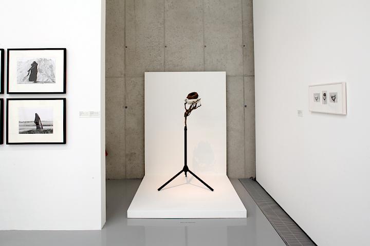 Ausstellungsansicht Kunsthalle Krems, Forum Frohner, 2014