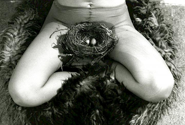 Nest, 1979