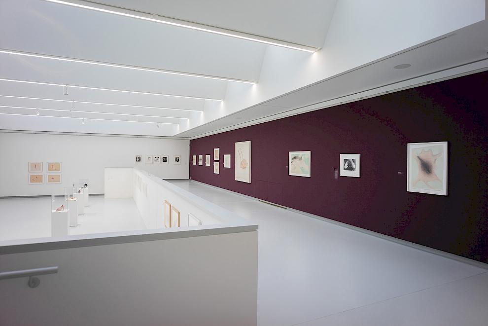 Birgit Jürgenssen. Ich bin. Installationsansicht. Kunsthalle Tübingen, 2018. Foto: Ulrich Metz