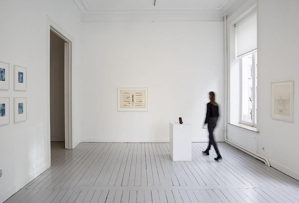 Birgit Jürgenssen. Installationsansicht. Gladstone Gallery, Brüssel
