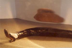 Birgit Jürgenssen, Untitled (Concave Mirror), 1979 (Estate No. ph1391). Color photograph, 33,5 x 42,5 cm. THE VERBUND COLLECTION, Vienna. Photo: Wolfgang Woessner