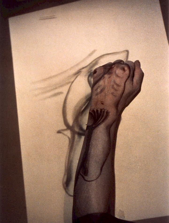 Birgit Jürgenssen, Untitled (Body projection), 1987/2009 (Estate No. ed20).