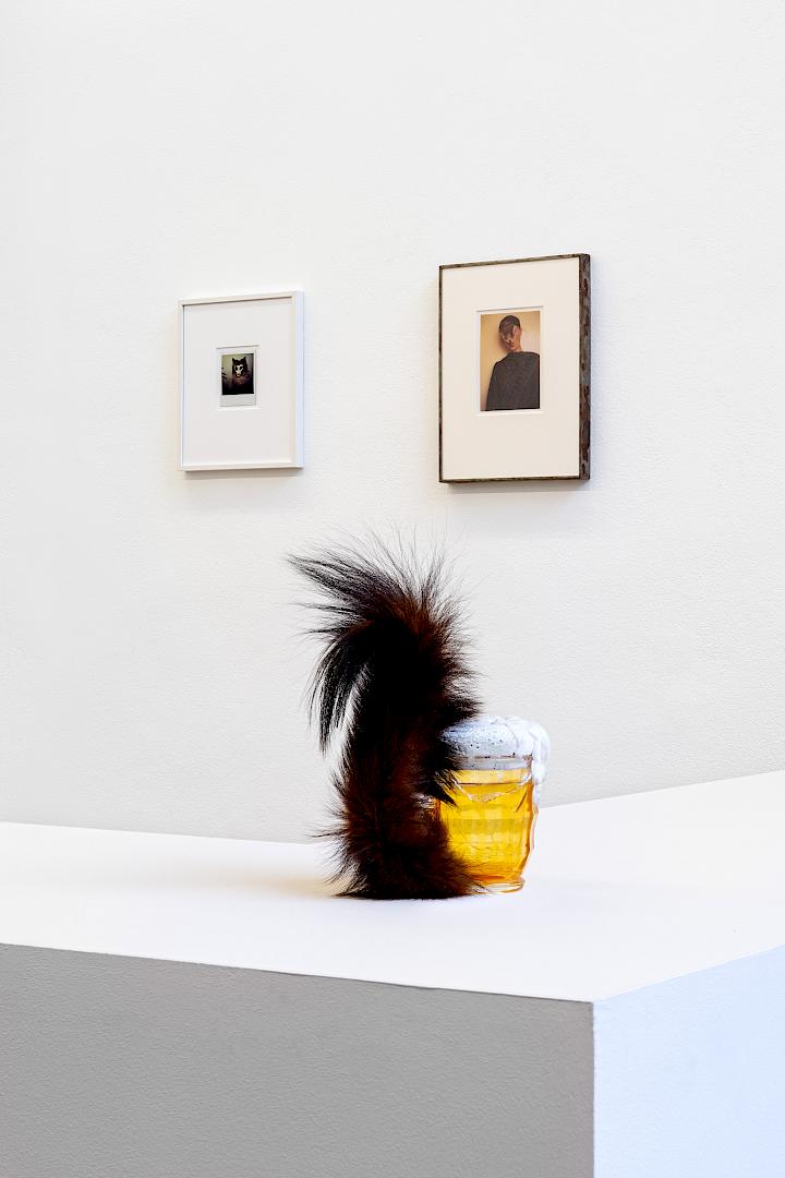HÖRST DU DAS GRAS WACHSEN?, Birgit Jürgenssen, Meret Oppenheim. Installation view, Galerie Hubert Winter, Vienna, 2024. (Photo: Simon Veres)