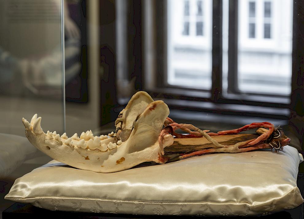© Oliver Ottenschläger / Sigmund Freud Privatstiftung, Vienna