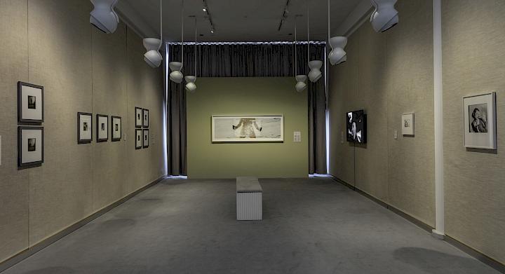 Installation view, Places To Dream,ammlung Louisiana Museum of Modern Art / Sammlung Kunsten Museum of Modern Art Aalborg, Photo: Niels Fabæk