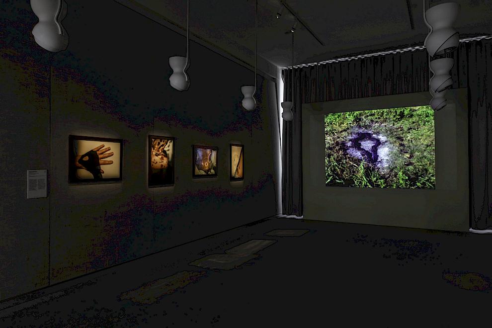 Ausstellungsansicht, Places To Dream,ammlung Louisiana Museum of Modern Art / Sammlung Kunsten Museum of Modern Art Aalborg, Foto: Niels Fabæk